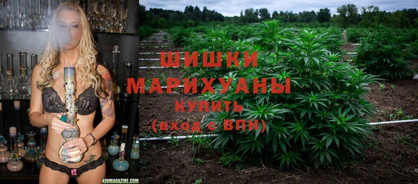 ПСИЛОЦИБИНОВЫЕ ГРИБЫ Арсеньев