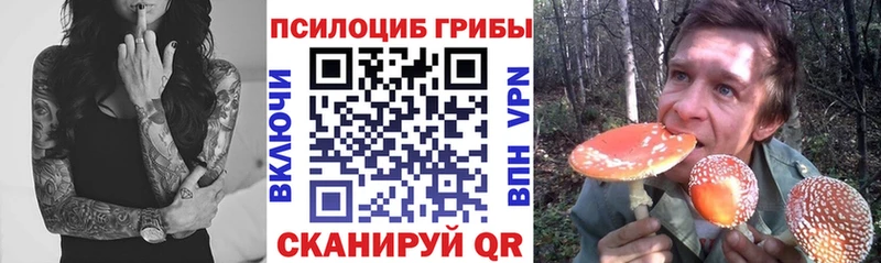 Галлюциногенные грибы MAGIC MUSHROOMS Тверь