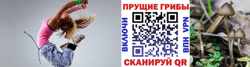 Галлюциногенные грибы прущие грибы  Тверь 
