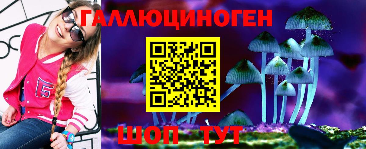 Тверь  купить наркоту  Галлюциногенные грибы мицелий  Вход с VPN  Псилоцибиновые грибы Cubensis 