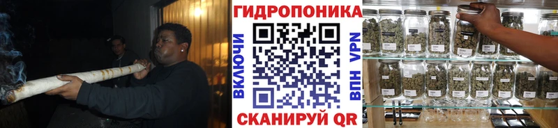 МАРИХУАНА семена  Тверь 